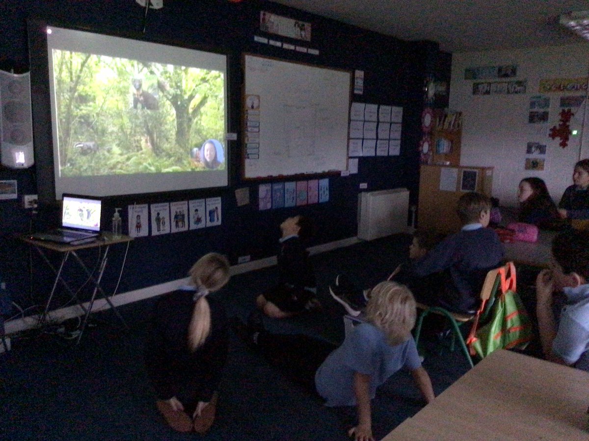 StMultoseNS's tweet photo. @StMultoseNS are very proud to be taking part in the #ClimateandNatureSummit run by @IrishSchSusty. So far, we have learned about the Irish rainforests and how to draw woodlice! #COP27 https://t.co/mPYOnZKr4c