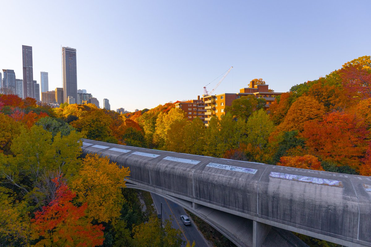 A view of Rosedale Valley Rd in late October 2022. #autumn #fall #road #fall2022 #UniversityRosedale #Toronto #TorontoExplore #photography