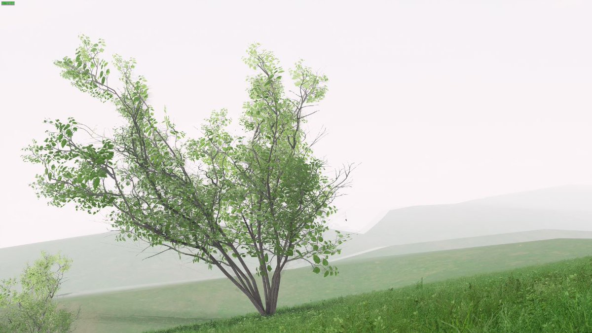 Pixelmonsterst1's tweet photo. Creating 3d trees for assetto corsa. 
New 3d trees with CSP.

#hibiscus #assettocorsa #simracing #kunos #gamedev #environmentartist #gaming #kerala #racing #videogame #vegetation #tree #plants https://t.co/eUloK7H6UX