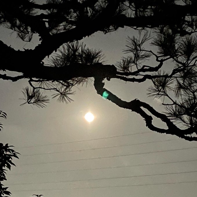 Twitterのコスプレ画像4