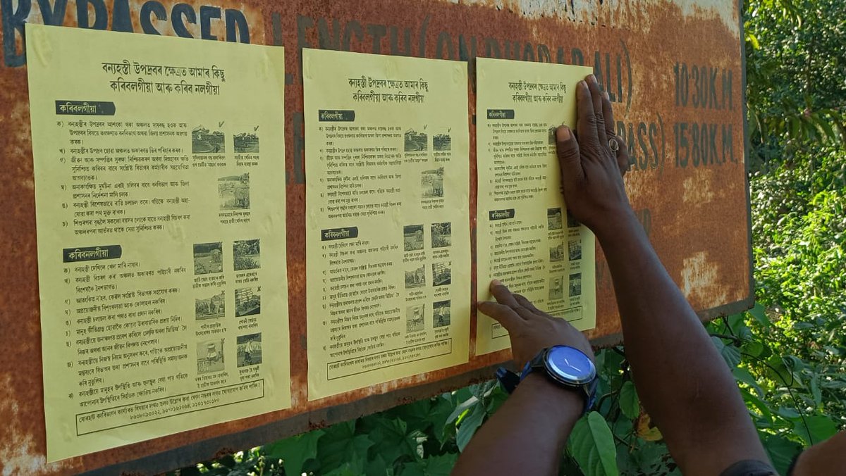 DFO Jorhat (T) Division tweet media