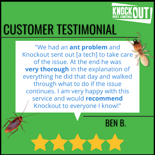 knockoutpest1's tweet photo. We appreciate the recommendation, Ben!  It was a pleasure to partner with you to solve your ant issue.  Thank you for trusting Knockout Pest Control for your pest management needs!

https://t.co/YREcKRNweu  

#Knockout #KnockoutPestControl #pests #Jacksonvillepestcontrol #tes ... https://t.co/6oZ6Fk2HK5
