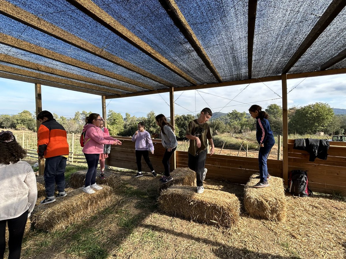 ClaveEscola's tweet photo. Al @ClaveEscola Aprenem de les bones experiències cooperativistes @olivera_coop  #CuEmE @AjRipollet https://t.co/xr9AfQaf79