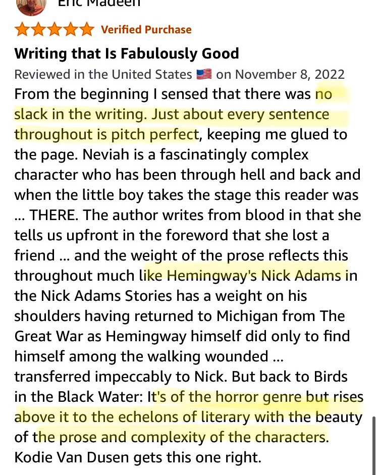 kodievandusen's tweet photo. Maybe one of the best reviews I’ll ever get 😳 Book Link: https://t.co/I5JFkuszJA (#amwriting #author #writingcommunity #reader) https://t.co/qQta7Aox14
