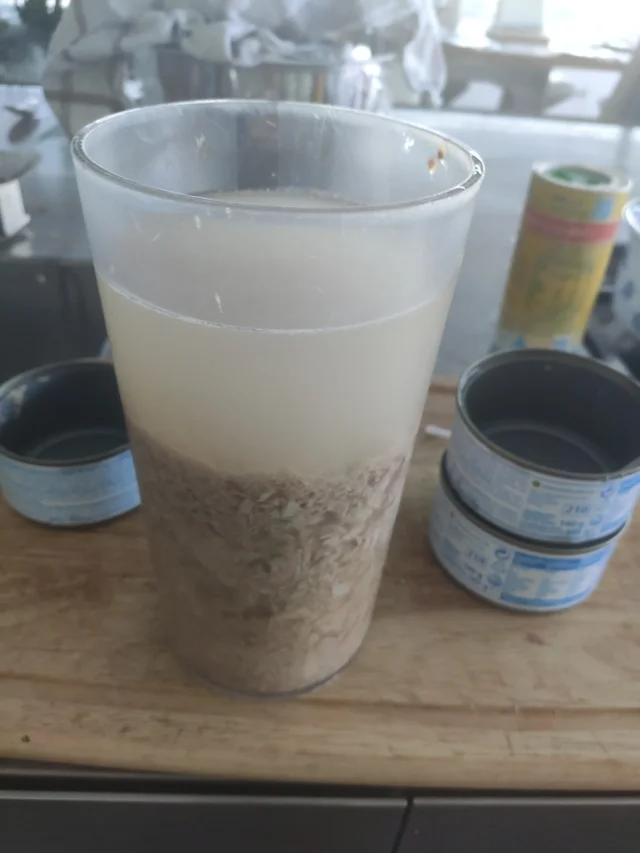 messedupfoods's tweet photo. blended tuna, water, salt https://t.co/b0Ke23GTee