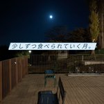 ツイートに含まれる画像