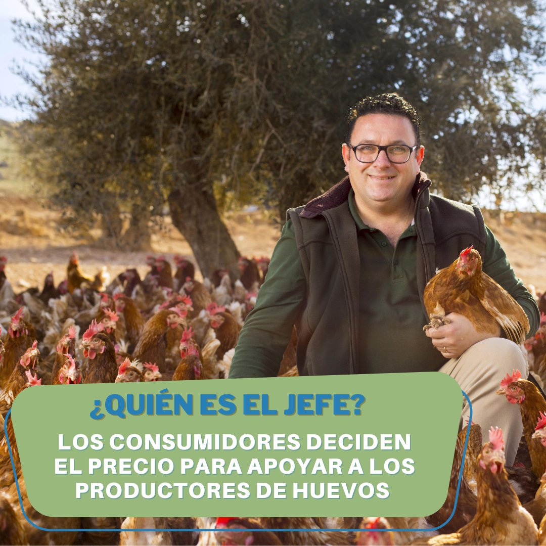 consumidora tweet media