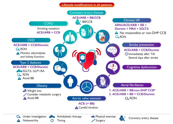 gonzaeperez's tweet photo. TRATAMIENTO DE HIPERTENSIÓN ARTERIAL EN PACIENTES CON COMORBILIDADES

-Iniciar con terapias combinadas
-Los ACEi o ARB son beneficioso en casi todas las comorbilidades asociadas

Revisión @ESC_Journals 
https://t.co/CP9oXphz8d https://t.co/bmii55WZCA