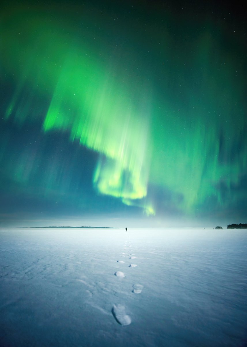 Hugo Korhonen ❄️ tweet media