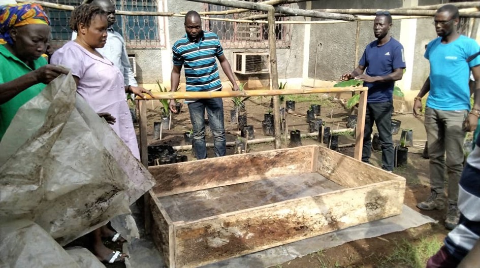Enabel_en_RCA's tweet photo. Les pépiniéristes centrafricains participent à une formation au #Cameroun sur la mise en place, le suivi et la conduite d’un système complet de pépinière de palmier à huile, d’arbres fruitiers et de bananiers plantains. 
#DevrurII #Jointimplentation #Actforimpact #UE https://t.co/H4EFBmygzW