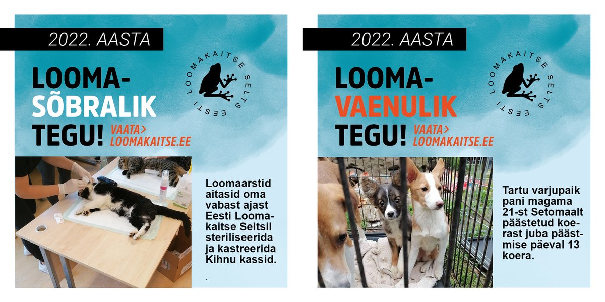 🥳 Aasta loomasõbralikuks teoks valiti Kihnu kasside steriliseerimise ja kastreerimise aktsioon ❤
Mine loe 👉 loomakaitse.ee/aasta-loomasob…