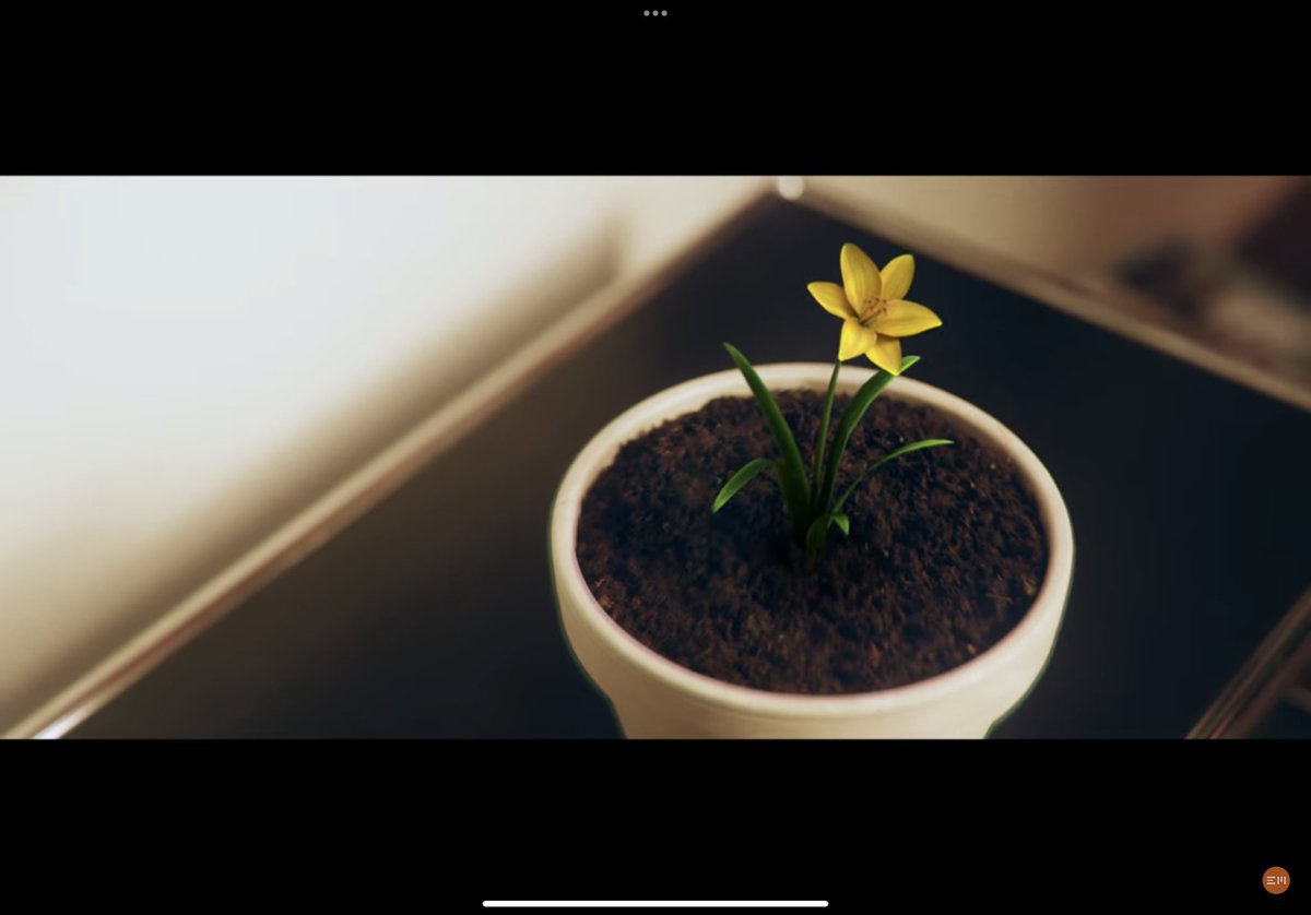 baekhofinale's tweet photo. The flower, the laptop’s background color, and the pocket watch(?) hmmmmmmm https://t.co/jEqgTs09Lz