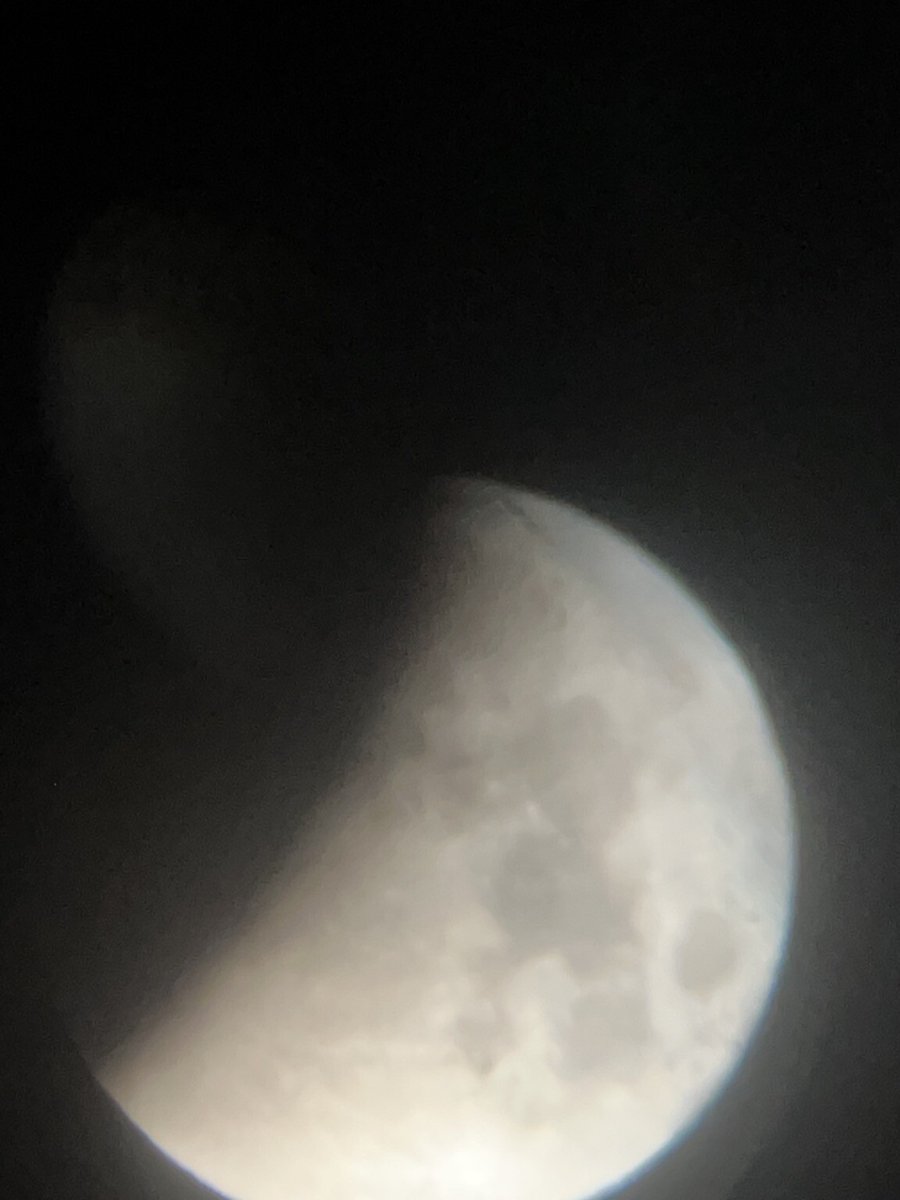 Owen Evans tweet media