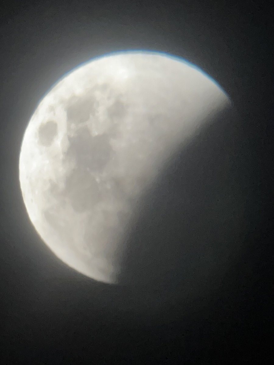 Owen Evans tweet media