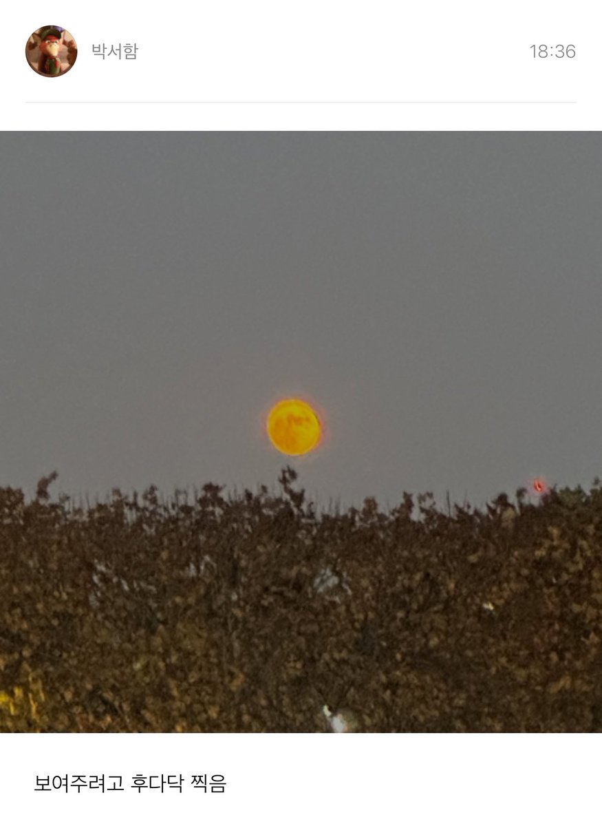 akxsame's tweet image. 죄송한데
너무 후다닥 찍으신 거 아니에요??
이거 뭐죠???
불타는 감자인가요???