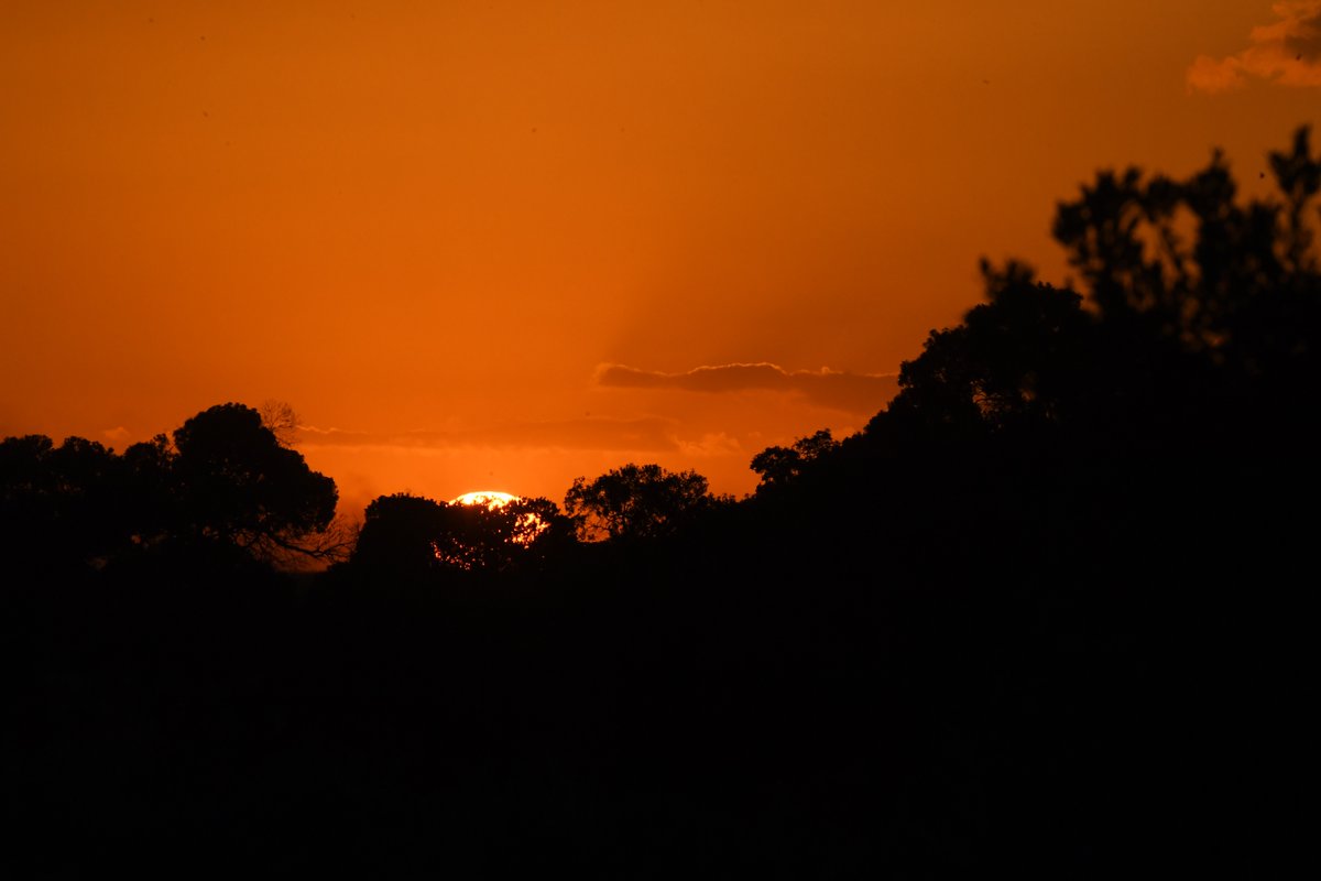...Beautiful Mara sunsets @SheanyNaserian <a href="/Freddy_Kamakei/">Village Elder™</a> @TitoKiti_ <a href="/SanauPaswa/">Sanau Paswa</a>  #MaraNorthConservancy