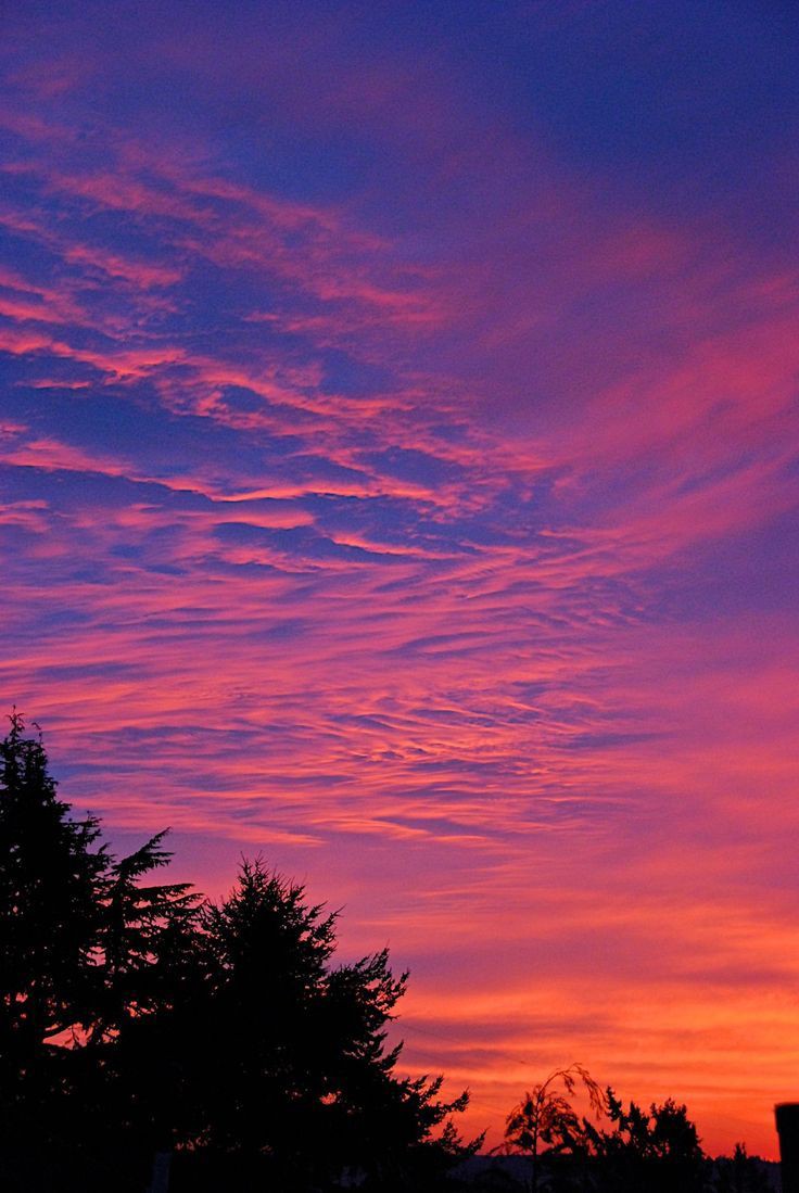 lopez1_ada's tweet photo. Un atardecer morado como X ti ya no @Cesia_Saenzz son las 3:44 de la mañana reproduciendo tu canción  y de todo el día esta es la vez que más la he disfrutado el silencio de mi cuarto escuchándote es algo que me llena mi corazón ♥ https://t.co/JB2ZuTVx8c
