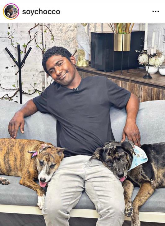 Mamafih365's tweet photo. Sokaklarda yaşayan “Choco” takma adıyla tanınan Kolombiyalı José Luis Matos’un bir sokak köpeği için düzenlediği doğum günü görüntüsü sosyal medyada viral olmuştu. Hayırseverlerin yardımda bulunduğu Choco, artık sevimli dostlarıyla aynı çatı altında yaşıyor. https://t.co/7ACChTjnrg