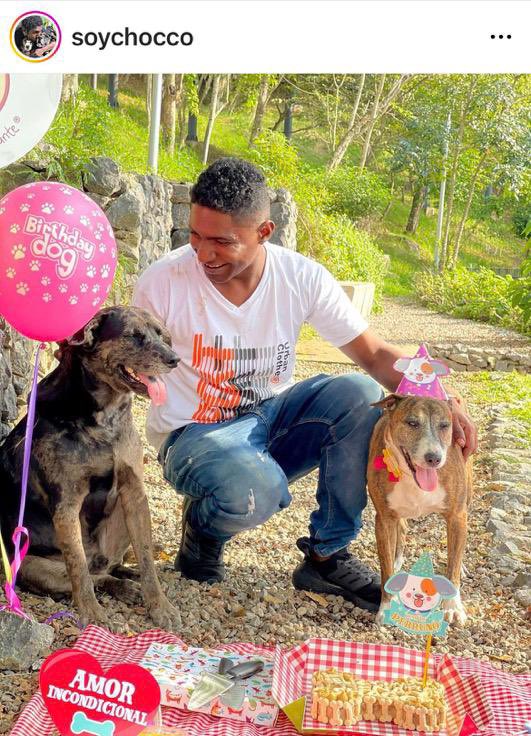 Mamafih365's tweet photo. Sokaklarda yaşayan “Choco” takma adıyla tanınan Kolombiyalı José Luis Matos’un bir sokak köpeği için düzenlediği doğum günü görüntüsü sosyal medyada viral olmuştu. Hayırseverlerin yardımda bulunduğu Choco, artık sevimli dostlarıyla aynı çatı altında yaşıyor. https://t.co/7ACChTjnrg