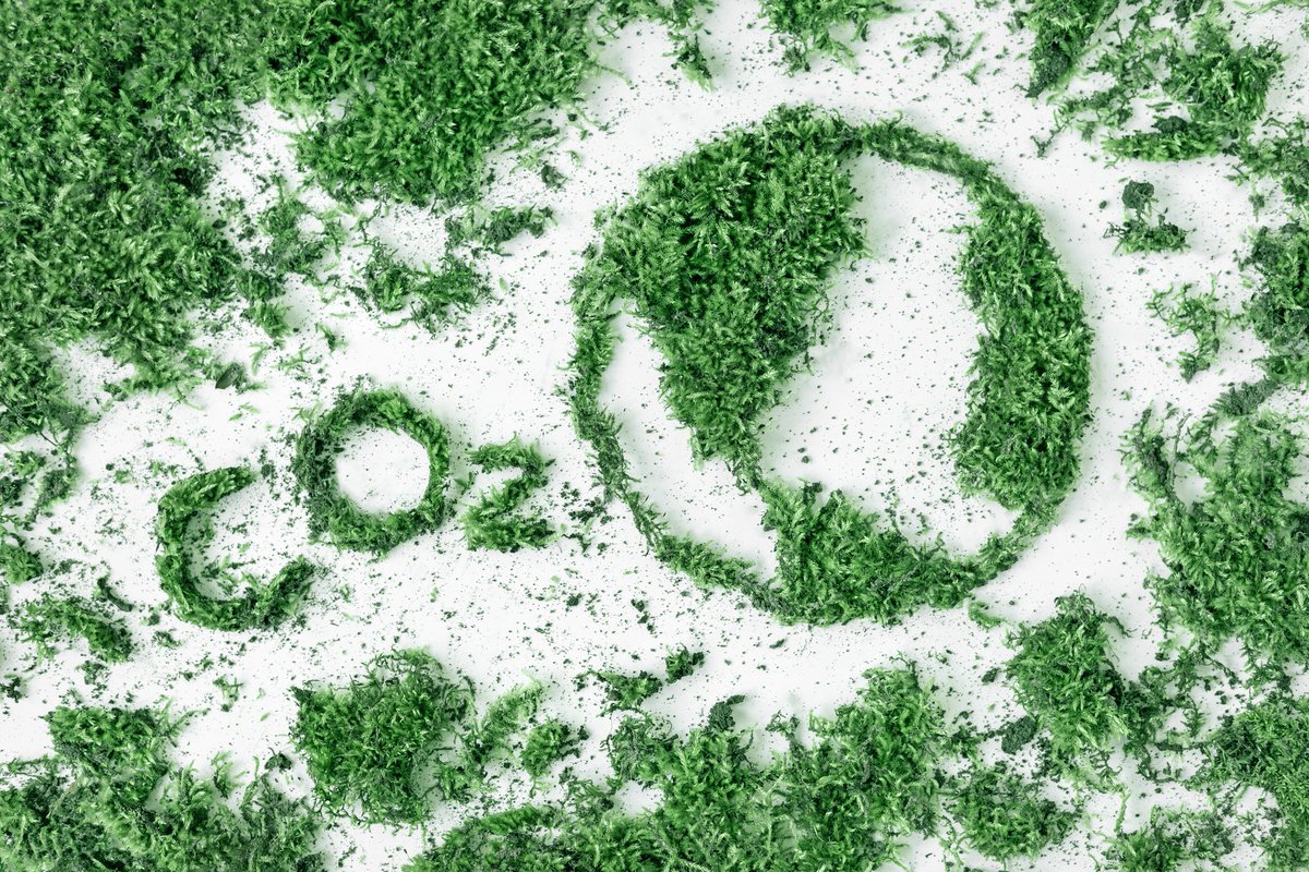 🌍 To mark #CLActionDay &amp; the start of COP27 yesterday, <a href="/louisemcaw_w/">Louise</a> wrote a blog on what the <a href="/AxiellUK/">Axiell UK</a> Sustainability Group is working on &amp; gathered a handy list of carbon literacy resources &amp; training available to UK libraries, archives &amp; museums. 

axiell.com/uk/blog-post/a…