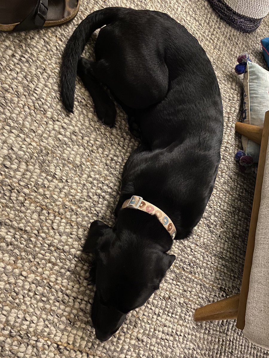 Josh Adsett tweet media