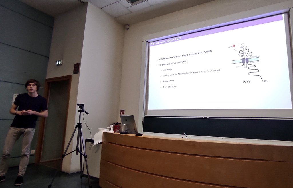 FrenchPurine's tweet image. Paul-Alexandre Déchelle-Marquet présente le rôle de #P2X7 dans l&apos;uvéite auto-immune expérimentale. #FPC2022 @InstVisionParis @Inserm @UnivTours