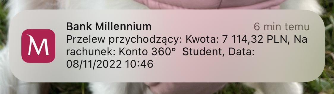 miedzysl0wami's tweet photo. kocham swoją pracę 🫶🏼 rt for good luck https://t.co/XcriosHJ8x