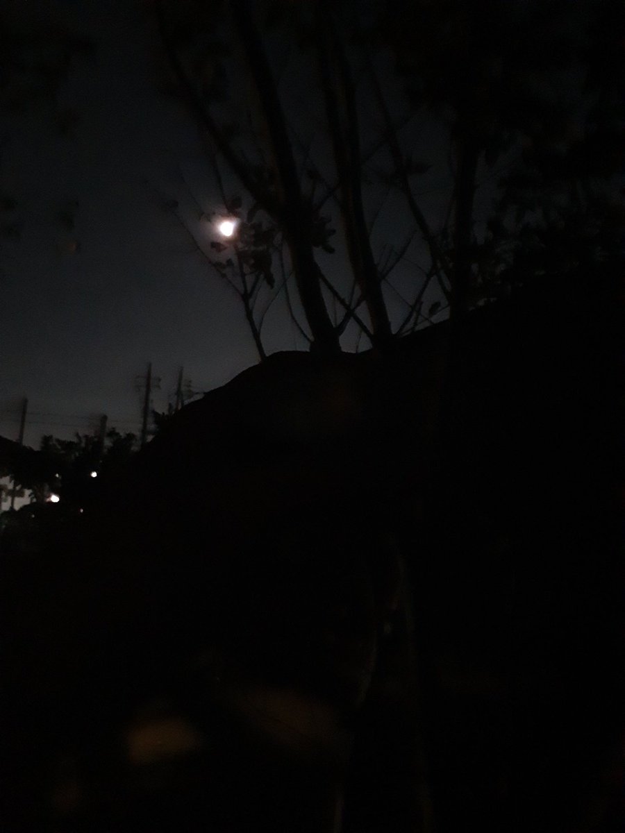 HeartCast_tk's tweet photo. リアルな月の形をしたすずのお猪口開発中です。
#月食 を見ながら一杯。
#天体ショー https://t.co/KlunXO6rcD