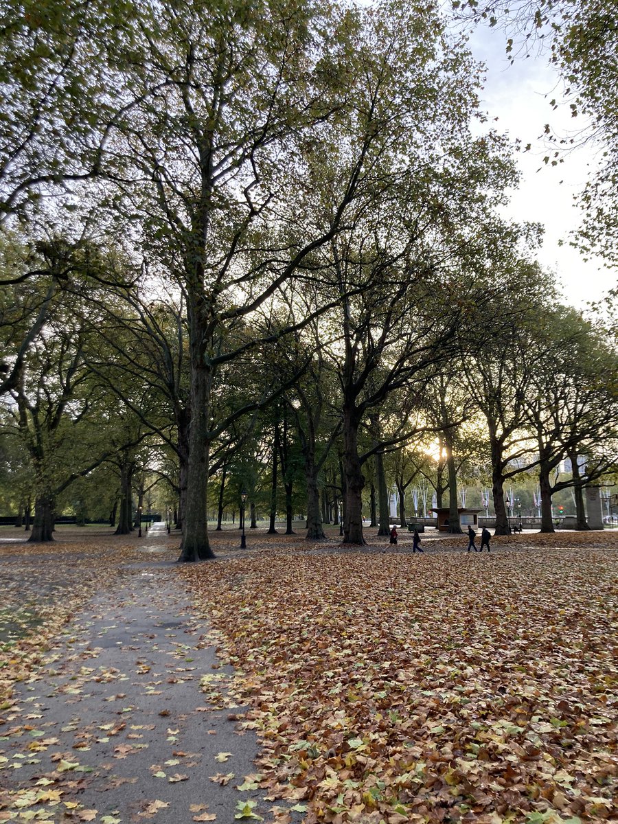 Autumnal feel to Green Park this morning. On my way to MOD ahead of HCDC hearing on Women in the Armed Forces today.