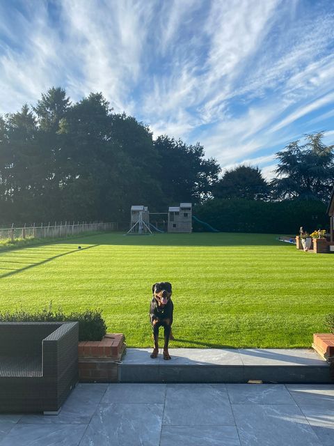 HayterMowers's tweet photo. Nothing like a striped lawn to add a little extra character to a lovely garden!
This crosshatched lawn comes courtesy of the Lawn Lad on Instagram – thanks for the submission!
Plus a little help from man’s best friend…
Get your #HayterMower:
https://t.co/9pEfcsHnL5 https://t.co/DQ2LTKScr5