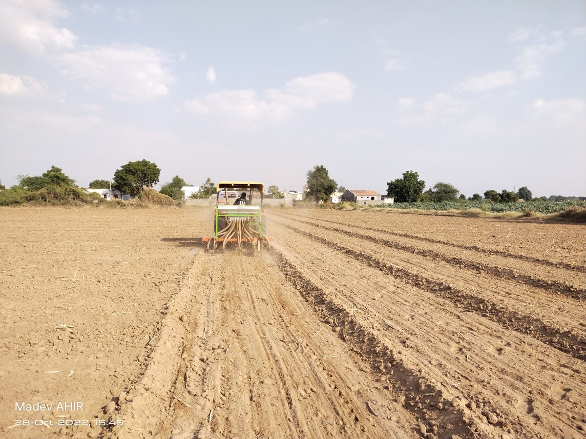 WeatherRadar_IN's tweet photo. ☀️In Gujarat, it's sowing season.
PC: Mahadev Ahir
Send us your photos!: https://t.co/xVpYtmrv2g
#gujarat #farmweather #weatherupdate #winter https://t.co/w2a7jCtSFz