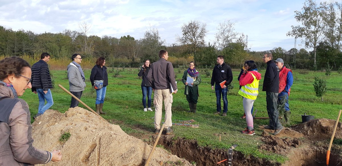 Atelier sur la description des #sols forestiers du <a href="/rmt_sols/">RMT Sols et Territoires</a> sous le soleil d'Orléans