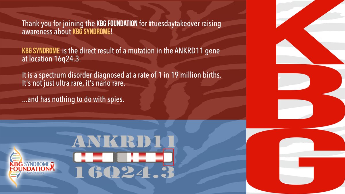 RareRevolutionM's tweet image. Thanks, @RareRevolutionM  for this #tuesdaytakeover. The #KBGFoundation works to support people with #KBGSyndrome and drive research. Learn how this #raredisease causes neurological, behavioral, heart, learning, skeletal and GI issues. tinyurl.com/kbgsyndrome  @KBGFdn