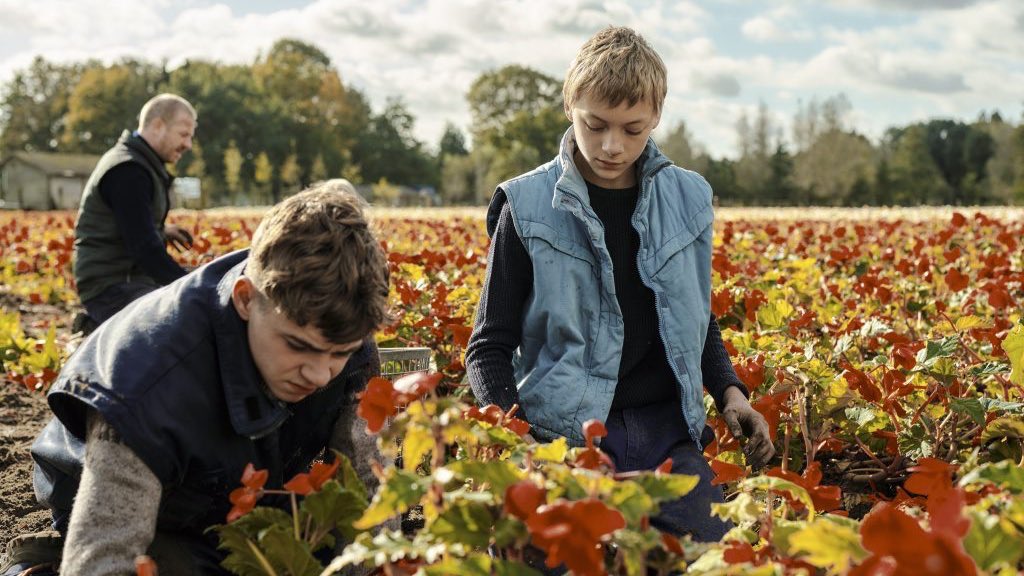 Adicine_es's tweet photo. Cuatro películas de miembros de Adicine optan al European University Film Award. Eso significa que ALCARRÀS, CLOSE, EO y EL TRIÁNGULO DE LA TRISTEZA se verán y debatirán en 25 universidades de 25 países europeos y los propios estudiantes elegirán a la ganadora. ¡Envidia sana! https://t.co/MTMPZEg4EM