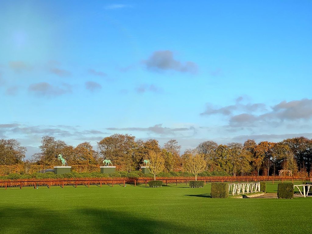 Thank you to our team led by Richard Hayden and Paddy Carey who manage the Grand Prix arena in Karlswood. Fantastic to have perfect grass conditions for our horses in Irish weather in November! 🇮🇪

#cianoconnor #teamkarlswood #showjumping #equestrian #horse #horsesport