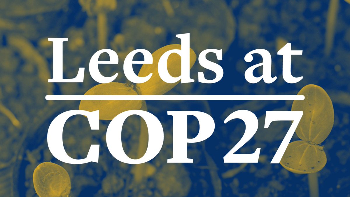 PriestleyCentre's tweet photo. TODAY at #COP27!

Professor @SimonLLewis will be speaking about the Congo Basin forests at an event in the UK Pavilion.

Congo Basin: Raising Ambitions and Driving Solutions
Tue 8 Nov | 16:45 - 18:15 EET (14:45 - 16:15 GMT) 

#ResearchForClimateAction https://t.co/MQKrBySGYd