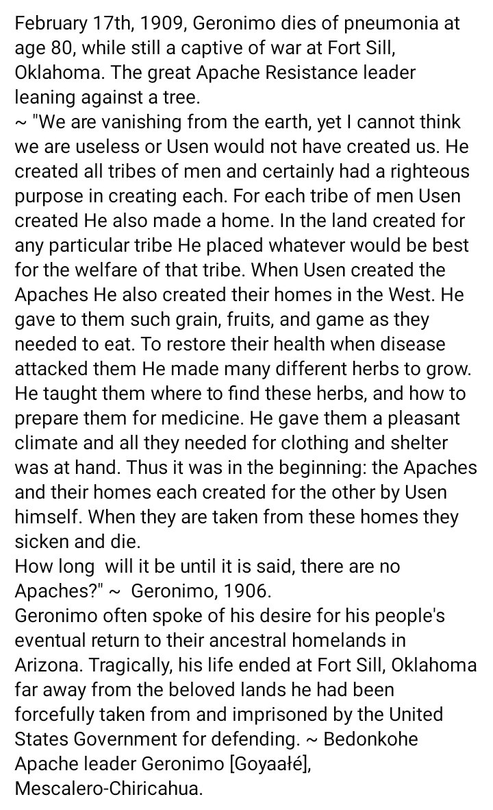 SpottedElk7's tweet photo. WE, will not vanish Ancestor! WE, are Still here. WE, are coming for Everything Our Ancestors were Denied!! Mitakuye O'yasin (All My Relatives.) ⚪🟡🔴⚫ 
#TraditionalNdn #AIM #LandBack #NativeAmericanHeritageMonth https://t.co/xA0UZzxYJt