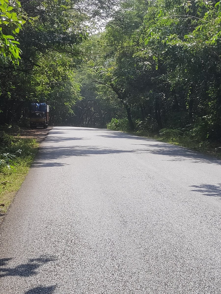 RajeshMenon70's tweet photo. On the way to #Cotigao Wildlife Sanctuary in Canacona with #Goa assembly speaker @rameshtawadkar
One of those places in Goa, which has beaches on one side and forests and mountains on the other.
#NatureBeauty https://t.co/Jwo3Ml6sUP