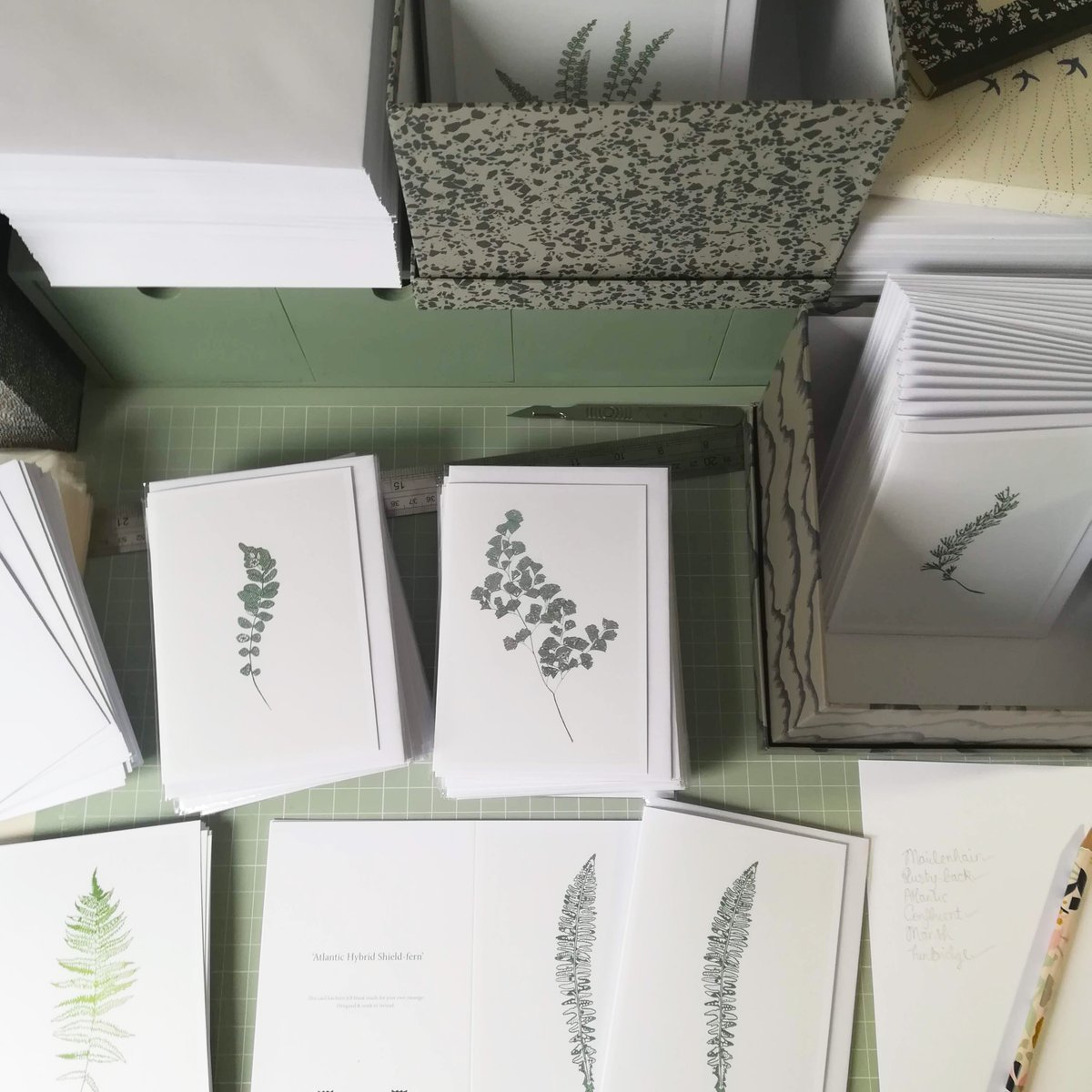 IN ADDITION TO the free gift I am including with all prints this month petaltopetal.com/news/2022/10/7… I am popping in some fern greeting cards with all fern prints purchased this month 💚 
Some extras to cheer up these dark rainy days ✨
#madelocal #madetolast #buyirish #petaltopetal