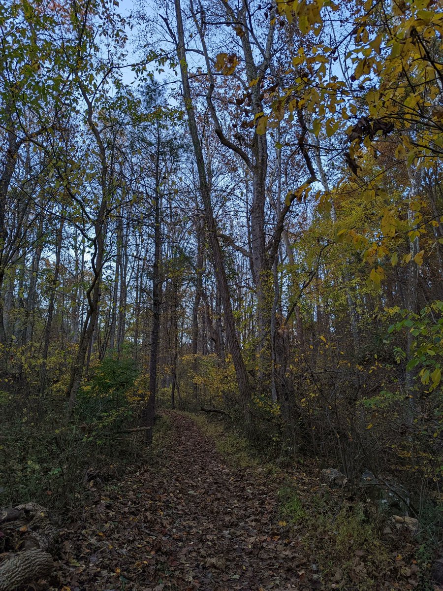 Journey to Patience Daily 11/8/22

A walk helps to restore balance as one deals with life's challenges.

#Relationships are big ones.

This may help. bit.ly/4-2_Relationsh…

Another is to understand life. Two books bit.ly/Life_in_the_Un…

#trekking #walking #hiking #path #seek