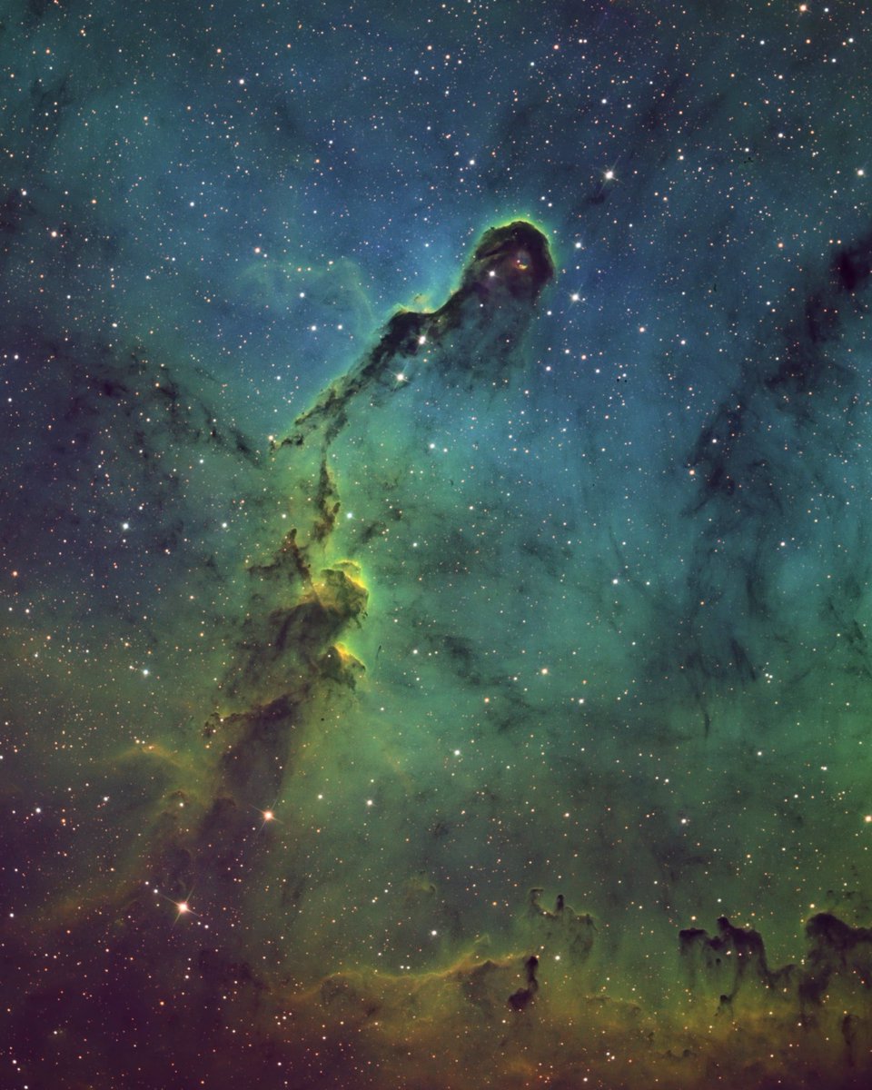 Here's the SHO version.  I opted against SCNR and removing the green in this photo, it gave it a nice pop! 

#Astrophotography #Nebula #Space #qhy