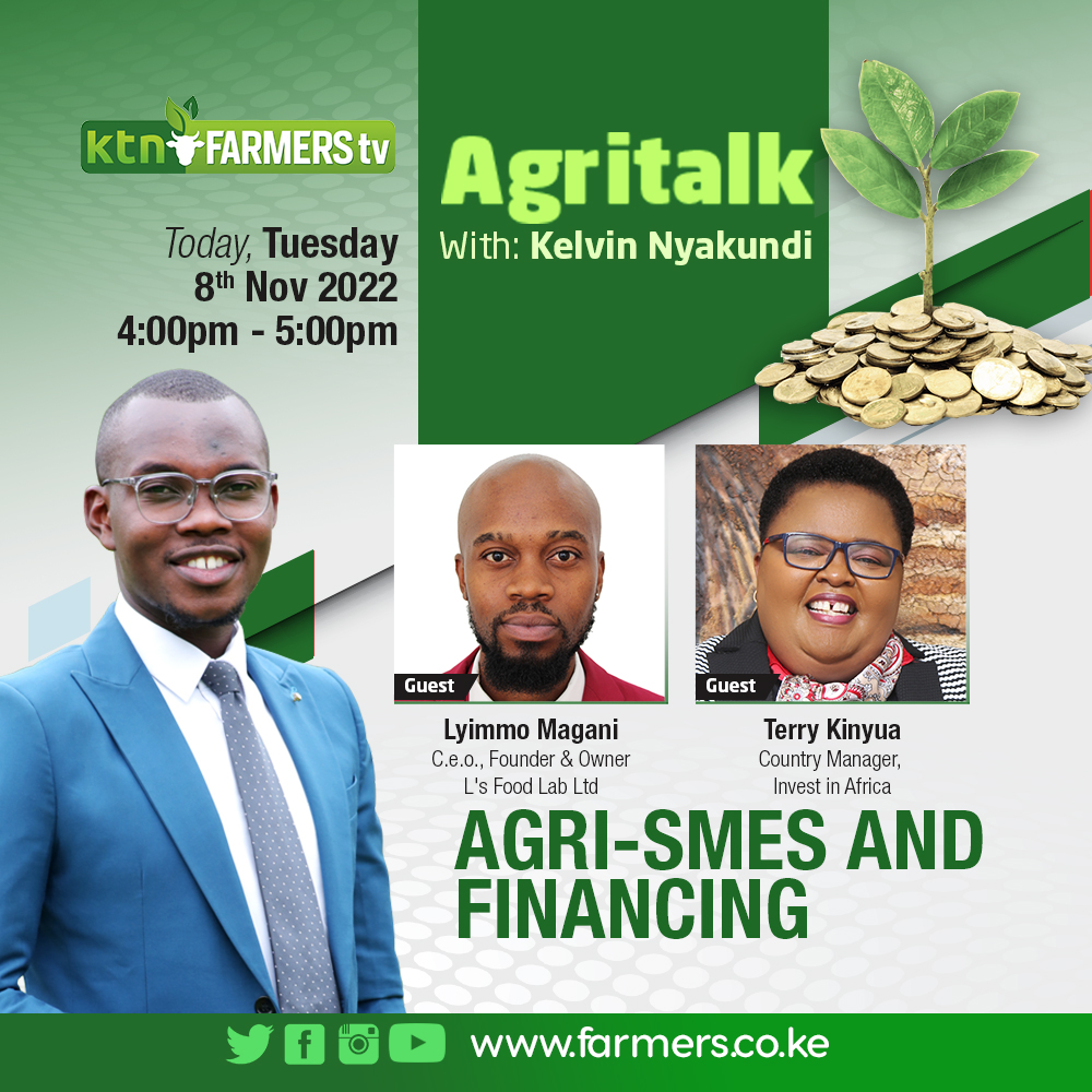 IIA_Kenya's tweet photo. Join our Country Manager @terrykinyua in the KTN Famers TV's #Agritalk show as she discusses how agri-SMEs can access finance and how we support small enterprises to be #investor ready and access #Finance 

#agribusiness #agrifinance #smesupport https://t.co/mibxz1ZEb3