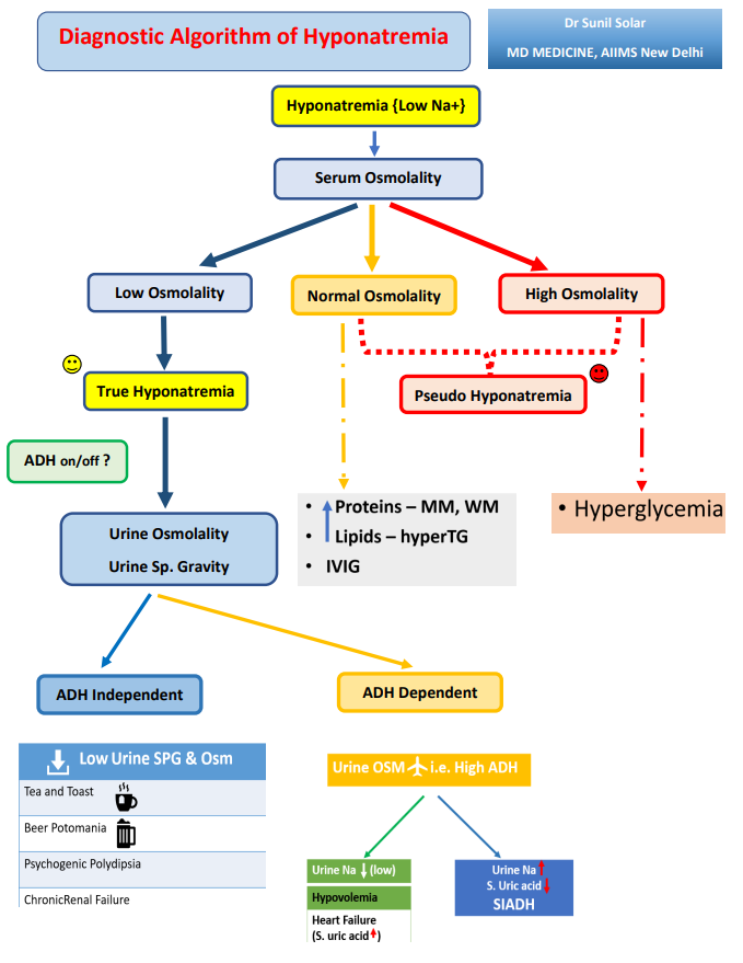 CardioDocDexter's tweet photo. "𝐇𝐲𝐩𝐨𝐧𝐚𝐭𝐫𝐞𝐦𝐢𝐚 𝐢𝐬 𝐧𝐨𝐭 𝐚 𝐝𝐢𝐚𝐠𝐧𝐨𝐬𝐢𝐬" 

Brief Diagnostic Algorithm of Hyponatremia

Helps me in getting to the etiology *99 %* of the time 

Add your own "#Astras" 

#askrenal #MedTwitter #NephTwitter #Nephpearls https://t.co/Mf8yMyrG70