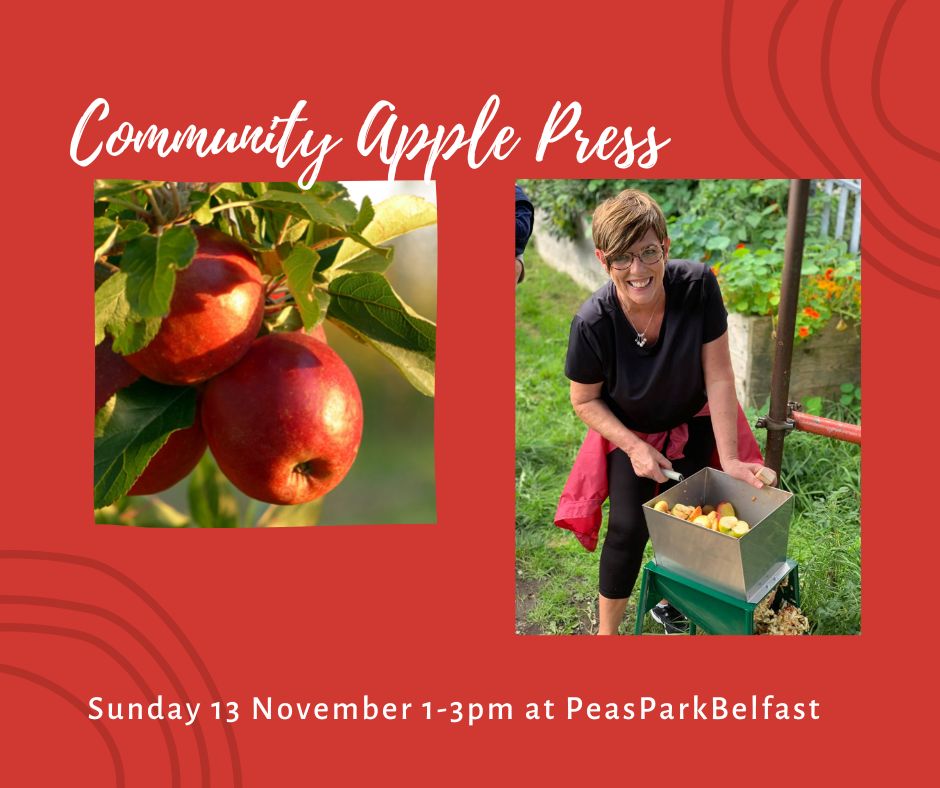Join us on Sunday. Skegoneill Avenue North Belfast.