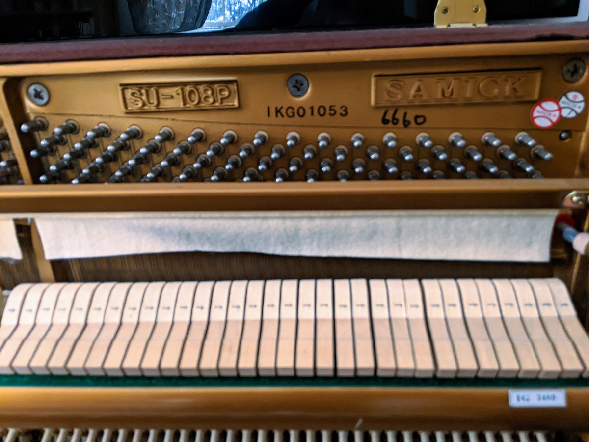 pianotunermjr's tweet photo. Piano Tuning in Hodnet, Shropshire
Tuning a 'Samick' Upright Piano
#pianotuner #piano #pianist #music #musicians #hodnet #samick #shropshire #pianotuner #pianotuning https://t.co/O1yFPA8KdY