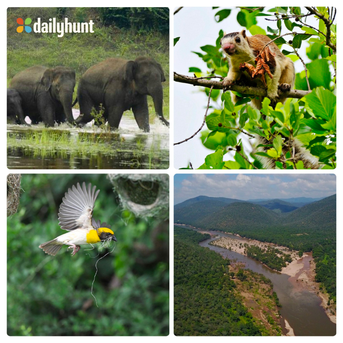 தமிழகத்தின் 17வது வனவிலங்கு சரணாலயமாக "காவிரி தெற்கு வனவிலங்கு சரணாலயத்தை" அறிவித்து அரசாணையை வெளியீடு!! . 
<a href="/mkstalin/">M.K.Stalin - தமிழ்நாட்டை தலைகுனிய விடமாட்டேன்</a> <a href="/supriyasahuias/">Supriya Sahu IAS</a> <a href="/CMOTamilnadu/">CMOTamilNadu</a> 

#TNGovt #forest #chiefminister #MKStalin #TamilNadu #wildlife #WildlifeSanctuary #DMK #Tamil #news #DHTamil
