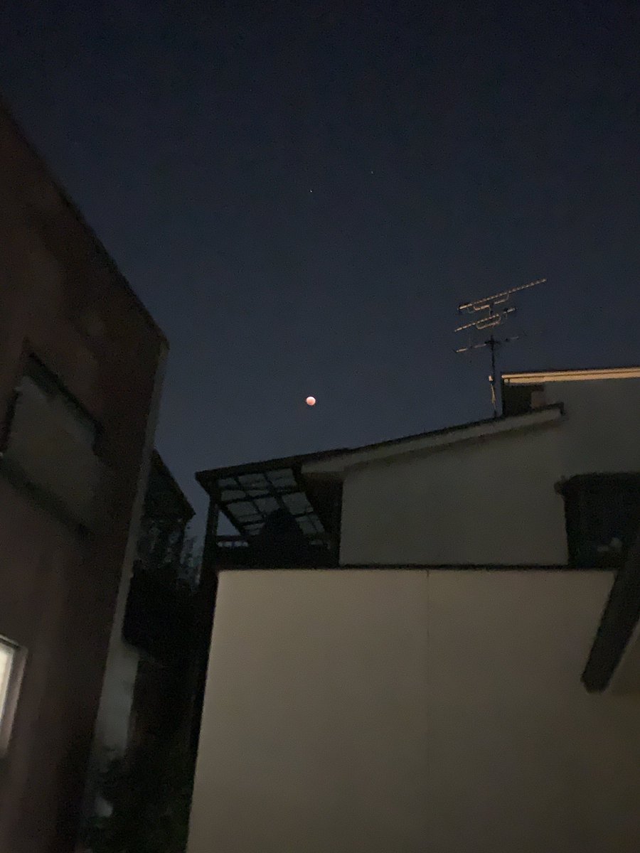 今日は皆既月食と天王星食が442年ぶりに同時に起きる日だそう🌕

442年前、織田信長もこの月を見ていたのでしょうか🤔