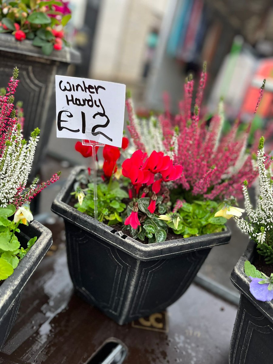• Join Our Market •

We are looking for traders to join our existing lineup of permanent and casual traders. Fancy trading at our weekly Thursday market? Simply email markets@wetherby.co.uk and we will send you the details. 

#wetherby #lovewetherbymarket