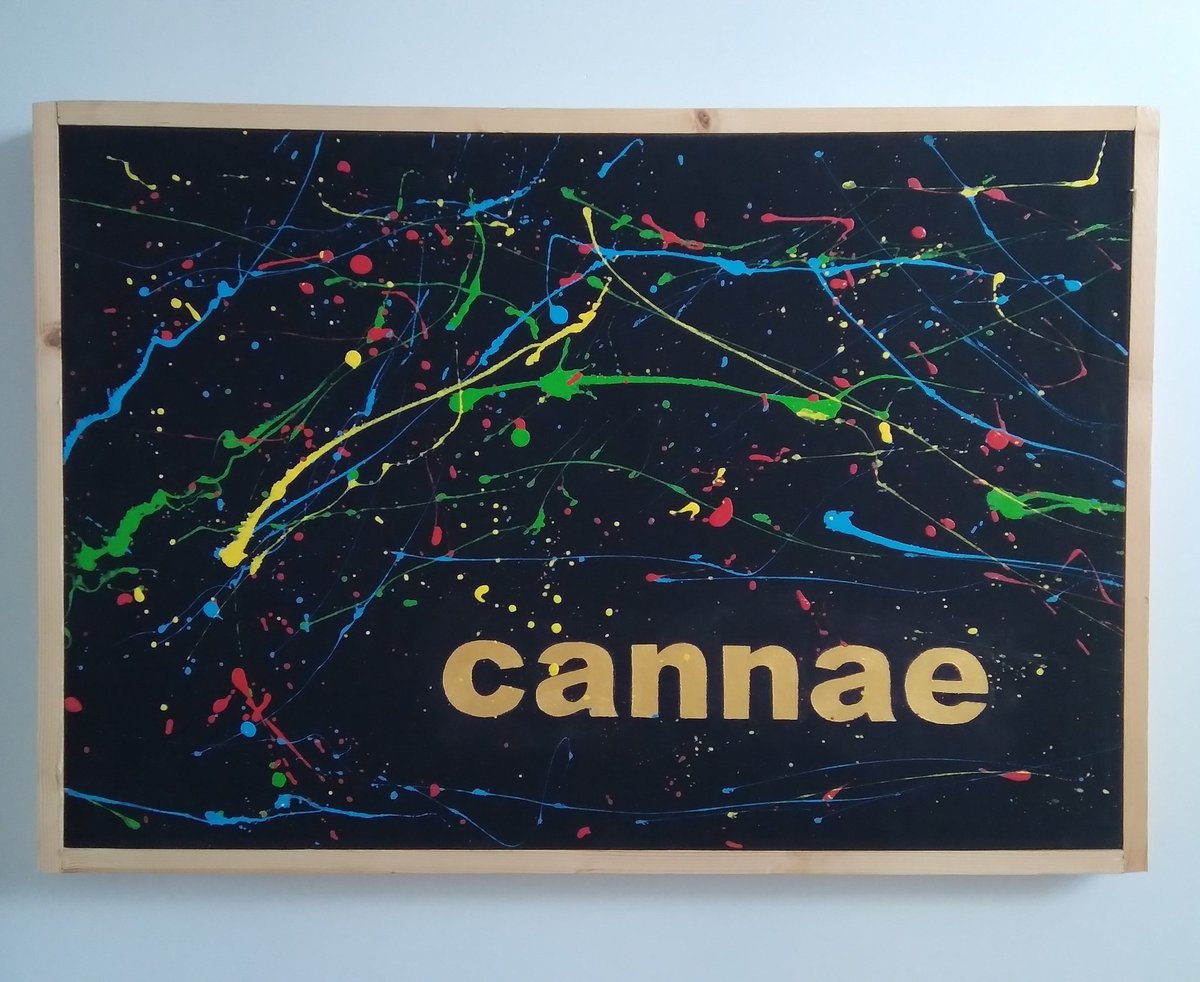 thebogmyrtle's tweet photo. Cannae #UlsterScot #HamelyTongue #ContemporaryUlsterScots https://t.co/vlpx9PfPn8
