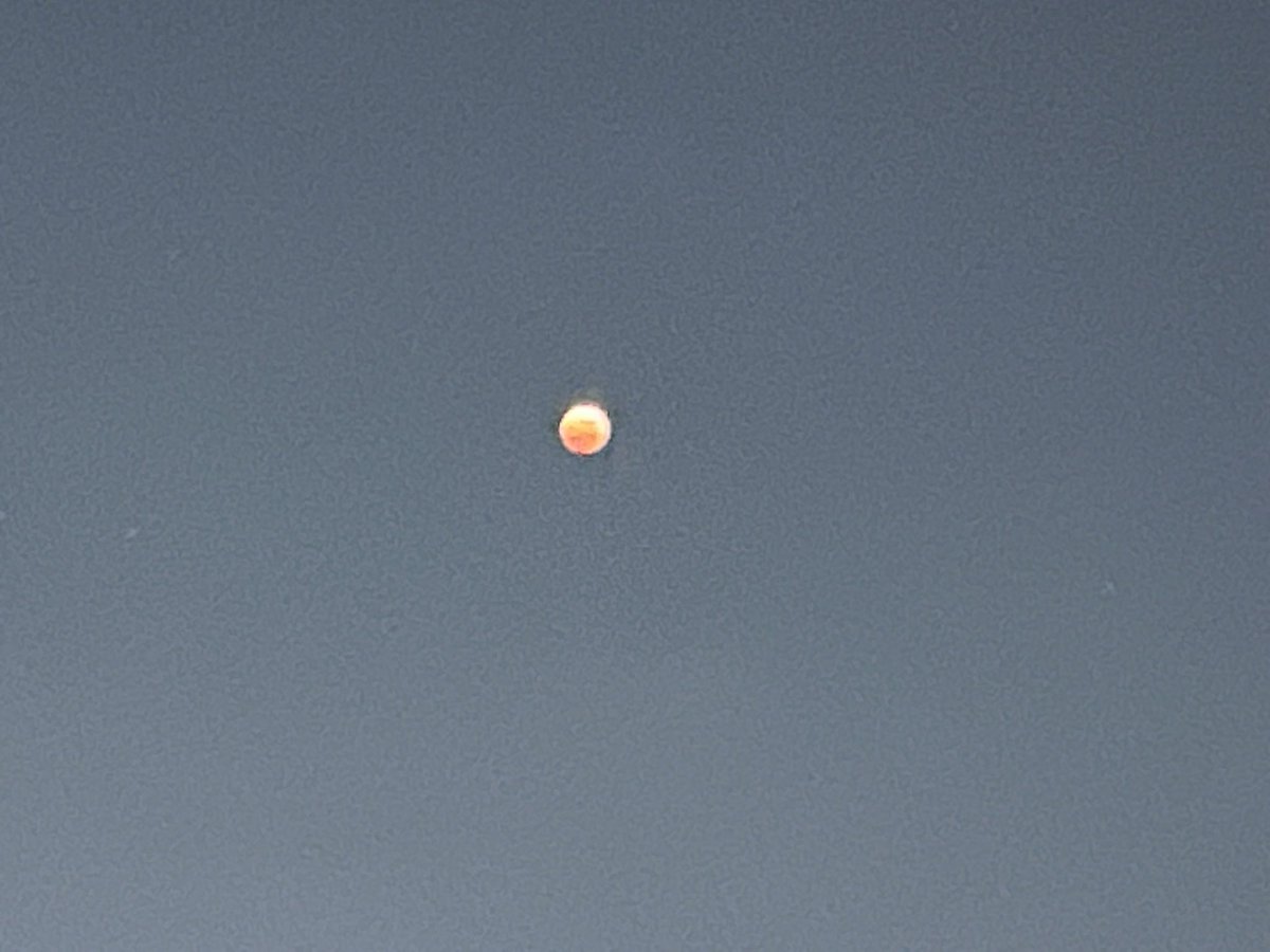 ReginaRed's tweet photo. Unfortunately that’s the best one can do with an iPhone but it’s at least recognizable that there is a total eclipse of the moon  🌙 going on 😍 in finest weather with not a cloud in the sky 😊 https://t.co/1zx0VHCwC9